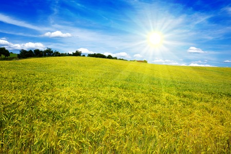 Summer cloudy landscape with  field . Colorful landscape with  meadof and blue sky.の写真素材