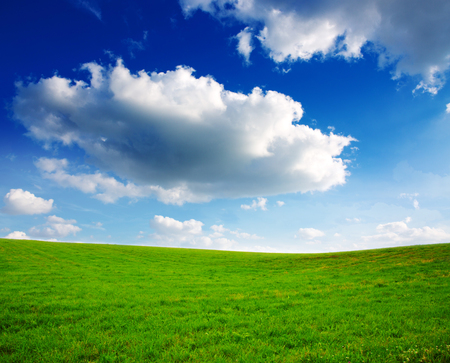 Colorful landscape with field .Summer landscape with green grass and clouds.の写真素材