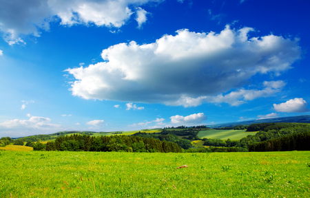 Green field and blue sky with light clouds.Field, trees and blue sky.の写真素材