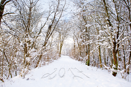 Winter forest walk with the number 2017. New year background.