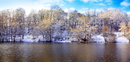 Frosty tree in the winter scenery . Winter landscape of frozen trees illuminated by the rising sun.Winter tree against with reflection in water.の写真素材