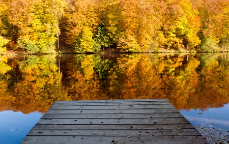 Autumn yellow trees reflection in a lake on a sunny day. Autumnal trees reflection in the lake water.の写真素材