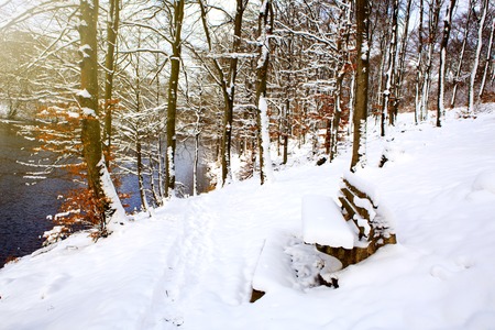 Bench in the winter park. Filled up with snow. Snow covered trees.の写真素材