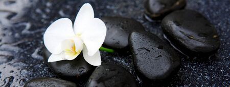 White orchid and black stones close up.の写真素材