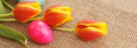Easter background with eggs and tulips. Holiday card with copy space, on brown cloth background.の写真素材