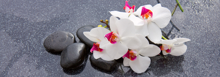 Spa stones and white orchid on gray background.の写真素材
