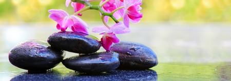 Pnk orchids and black stones .Wellness background.の写真素材