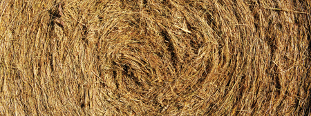 Macro shot on hay ball .