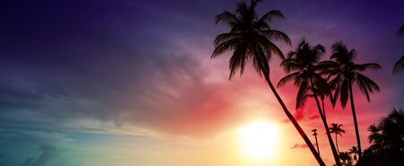 Palm trees and sunset on Caribean.