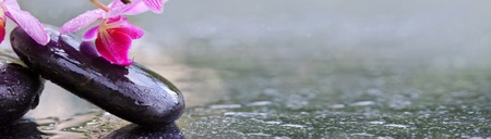 Black spa stones and pink orchids. Wellness background.の写真素材