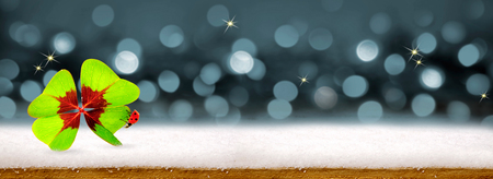 New year background with four leaf clover and ladybird.