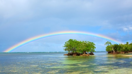 Colorful rainbow over caribbean sea .Travel background.の写真素材