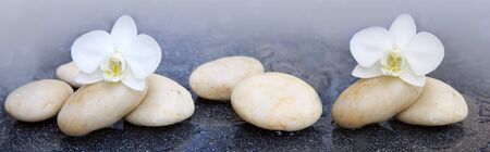 Orchid flowers and white stones.の写真素材