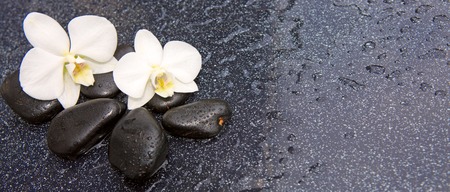Two orchid flowers and stones. Spa background.の写真素材