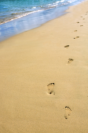 Footprints in the sand on the beach .の写真素材