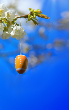 Blossom tree branches and easter egg.の写真素材