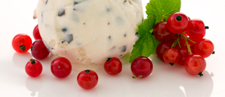Vanilla ice cream and fresh red currants isolated on white background.の写真素材