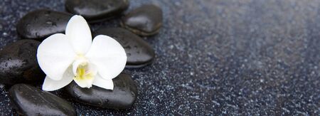 White orchid and black stones close up.の写真素材