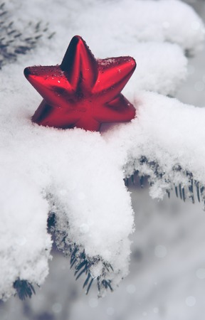 Snowy fir branches with christmas red star over snow. Christmas and New Year Background .の写真素材