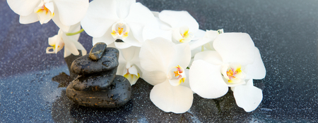 White orchids flowers and spa stones . Spa background.の写真素材