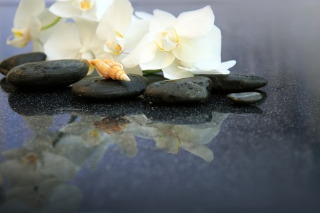 White orchids flowers and spa stones . Spa background.の写真素材