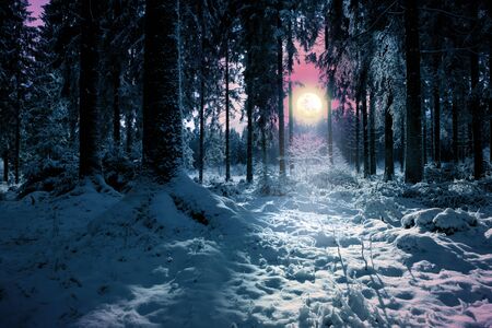 Winter landscape with snow covered fir trees and full moon.