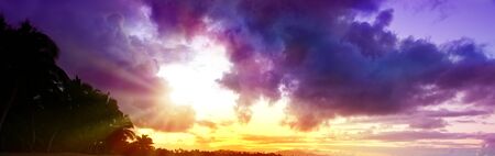 Tropical sunrise with coconut palm trees. Travel background.の写真素材