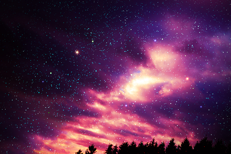 Colorful night sky with many stars above of trees silhouette.の写真素材