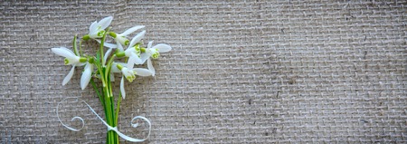 White snowdrops background. Festive decoration on cloth background.