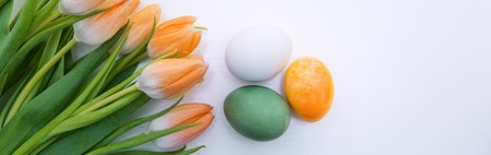 Yellow Tulips and Easter Eggs isolated on white wood Background.の写真素材