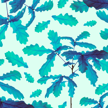 Petrol blue oak leaf pattern on green background.の写真素材