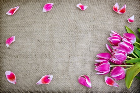 Bouquet of tulips on brown cloth Background.Spring greeting card.の写真素材