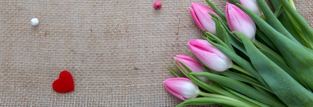 Pink tulips and red heart isolated on a cloth background.の写真素材