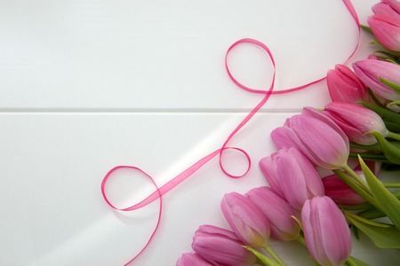 Pink tulips and loop isolated on white wood Background.の写真素材