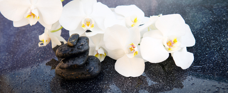 White orchids flowers and spa stones . Spa background.の写真素材