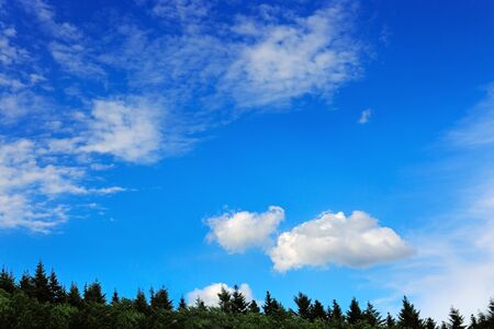 Clouds and green trees with blue sky. Summer background.