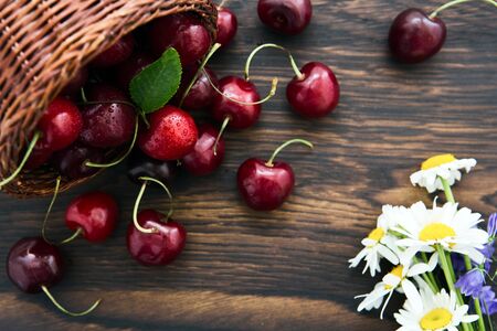Cherries in the basket pot and daisies on an old wooden background.の写真素材