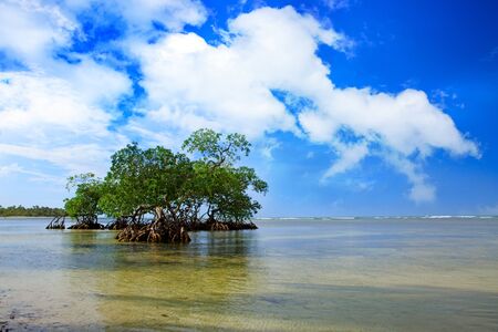 Tropical sea and blue sky background. Summer ocean landscape as background.の写真素材