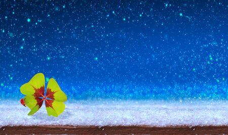 New year background with four leaf clover and ladybird.の写真素材