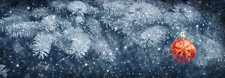 Christmas ball on blue Pine branches and snowfall.