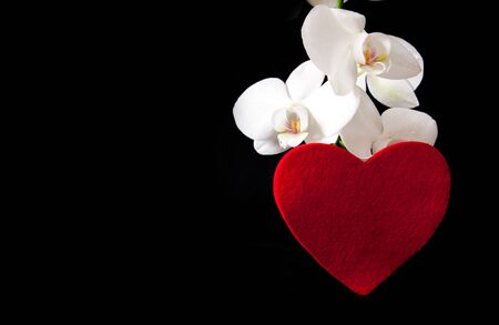 White orchid and red heart isolated on black background.の写真素材