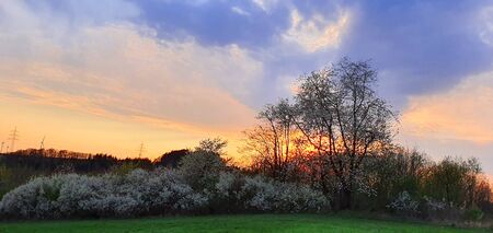 Colorful dramatic sunset with big clouds and trees.の写真素材