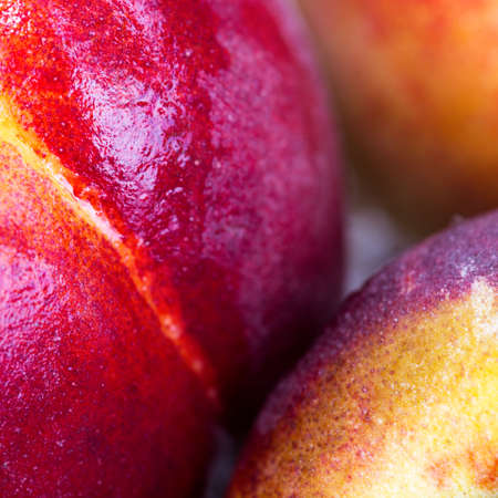 Close up of big red nectarine with water drops.の写真素材