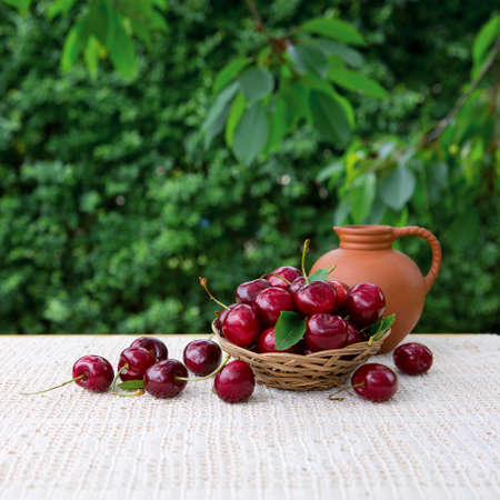 Large red cherries in a basket and a jug of milk isolated on green.
