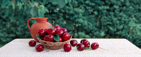 Large red cherries in a basket and a jug of milk isolated on green.の写真素材
