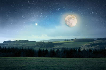 Colorful night sky with many stars above of trees silhouette.の写真素材