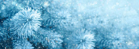 Cristmas background with pine tree branches and snowfall.