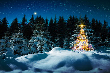 Christmas tree in winter forest and stars sky. Christmas Card.の写真素材