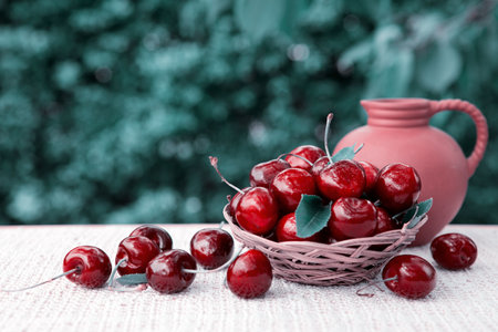 Large red cherries in a basket and a jug of milk isolated on green.