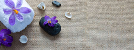Spa still life with black stones, violet crocus and towel.の写真素材